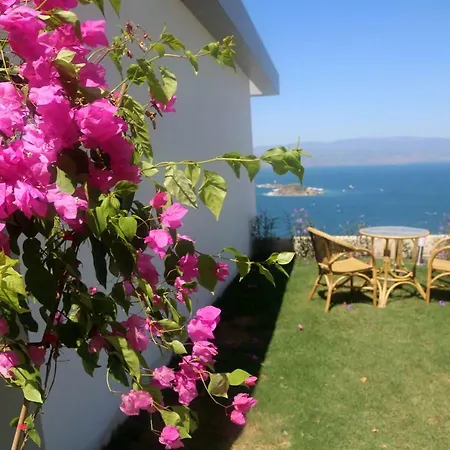 Bodrum Adabuku Luks 2+1 Ozel Plaj Ve Havuzlu Bogazici